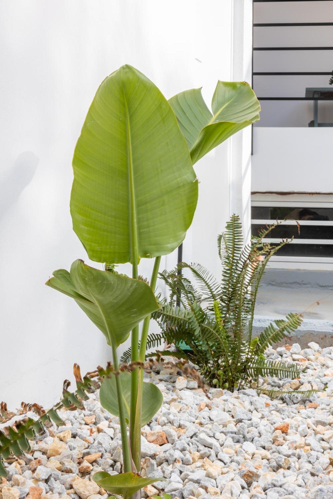 Garden Luxury Apartment Ηράκλειο Κρήτης Εξωτερικό φωτογραφία